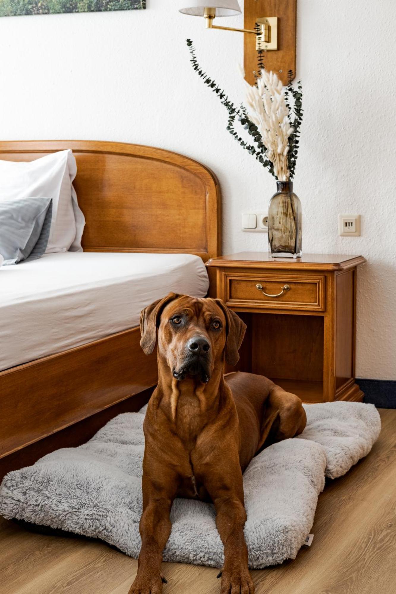 Hotel Goldener Hirsch Kaufbeuren Buitenkant foto